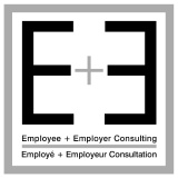 E+E Consulting